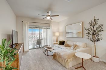 Carpet in living/dining area